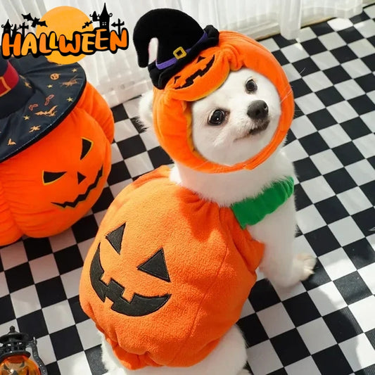Pumpkin Harness Vest for Cats & Dogs