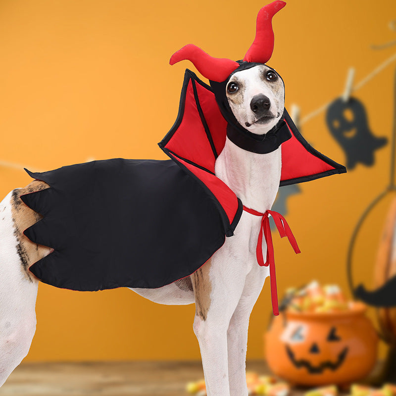 Morroween Pet Vampire Cloak - hat detail close-up