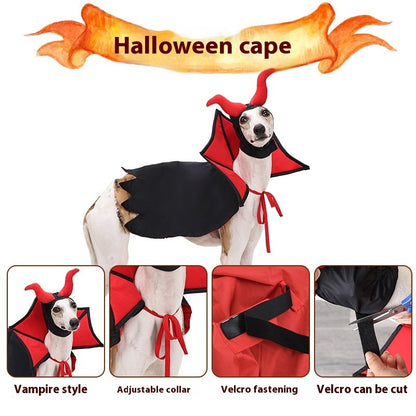 Morroween Pet Vampire Cloak - dog wearing cloak and hat
