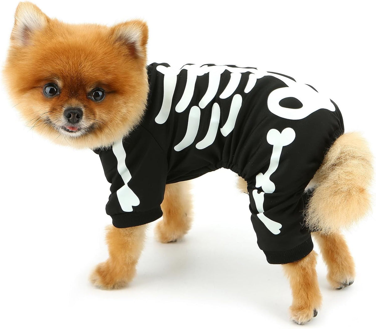Morroween Glow-in-the-Dark Skeleton Dog Costume - size chart reference