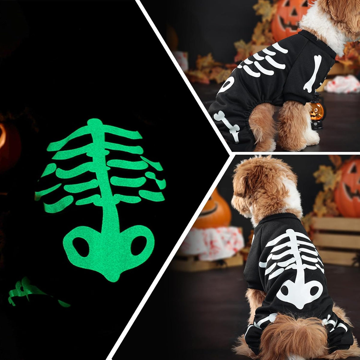Morroween Glow-in-the-Dark Skeleton Dog Costume - skeleton print detail